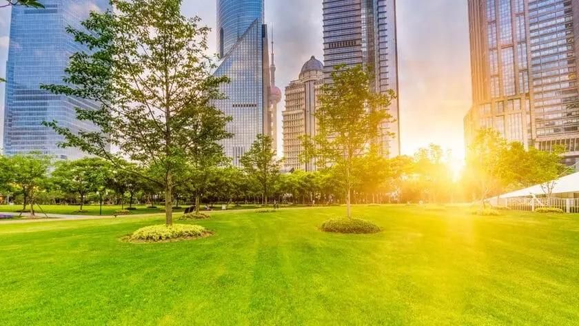 Green city