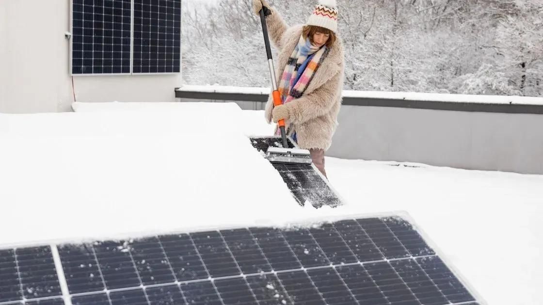 Fotovoltaico in Inverno