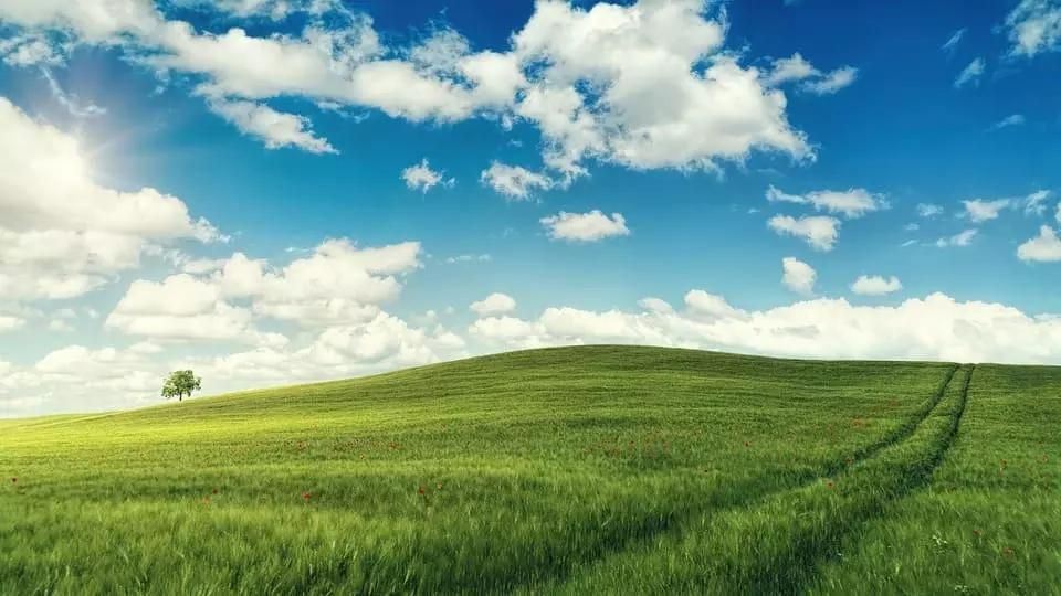Landscape