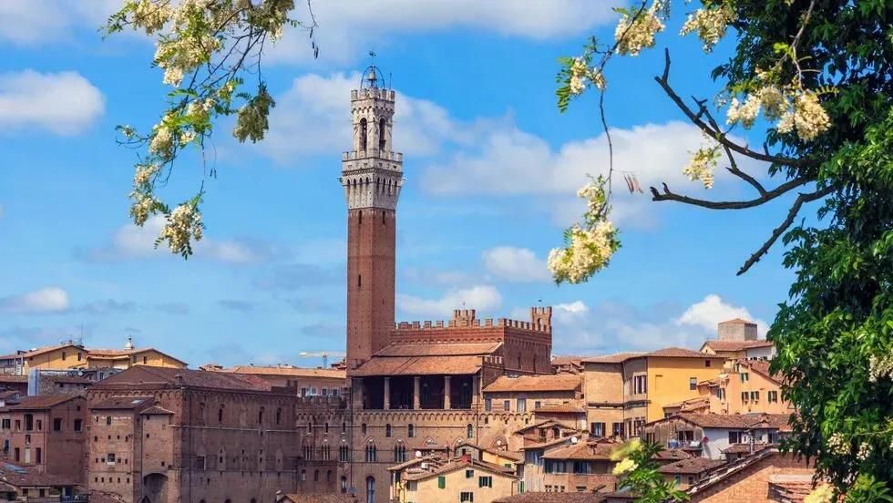 Fotovoltaico Siena