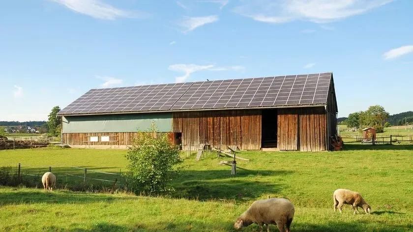 Fotovoltaico e biodiversità