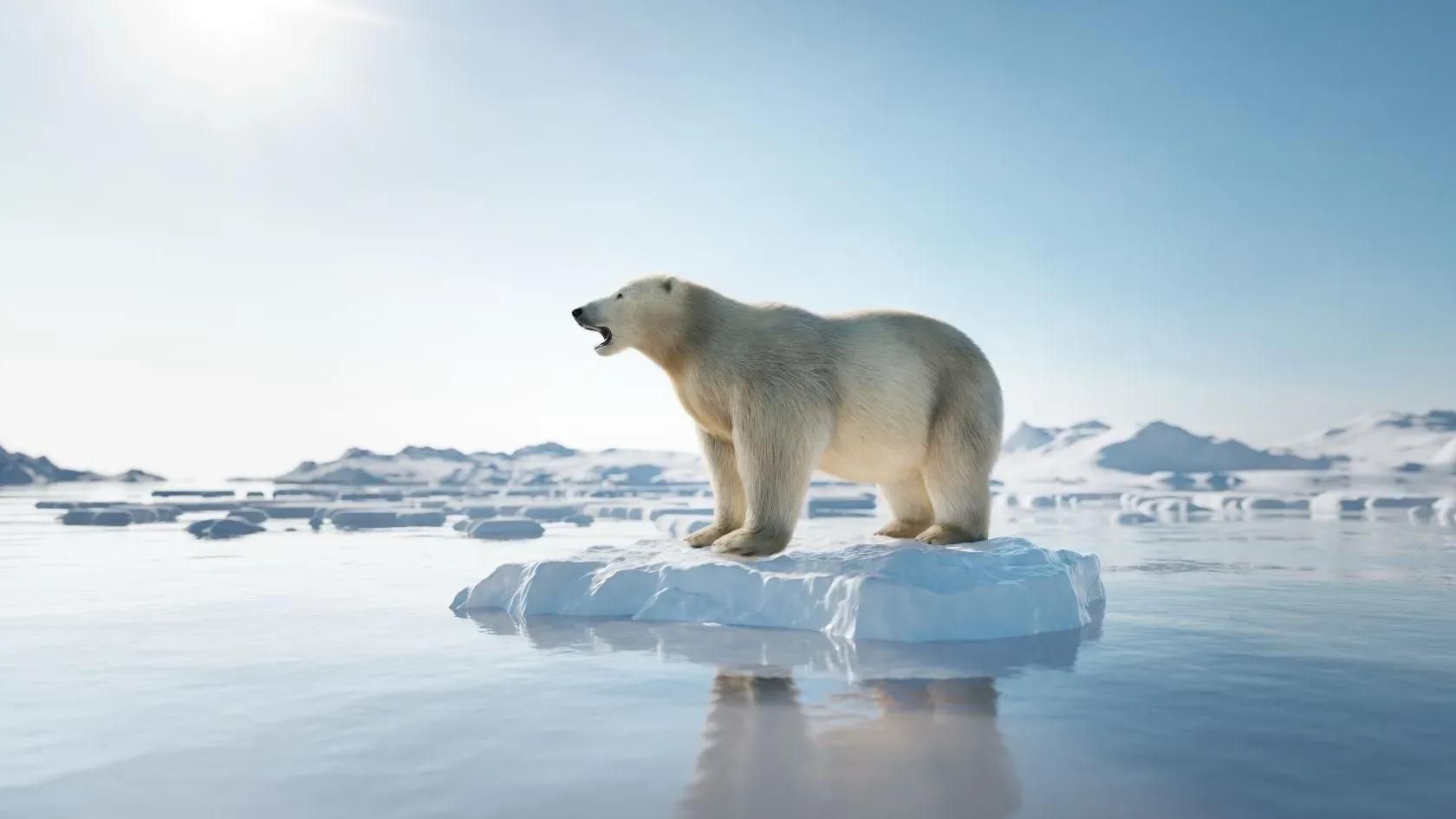 Surriscaldamento Globale Cause
